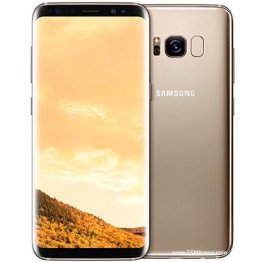 Samsung Galaxy S8+